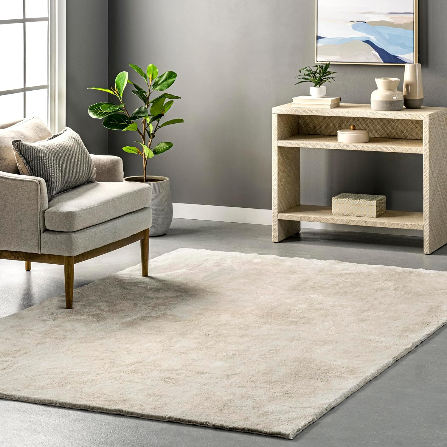 2' X 3' Cozy Plush Superiorwash Area Rug, Machine Washable, Non-Slip, Soft Fluffy Shag Carpet for Living Room Bedroom Kids Room Nursery Home Decor, Loni Cream