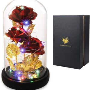 Mothers Day Flower Gifts for Mom,Wife,Mother Rose Galaxy Flower Red Rose in Glass Dome,Light up Rose Flowers with 2 Lighting Mode,Enchanted Rose Gifts for Women for Birthday Wedding Valentines Day