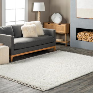 Neva Modern Tasseled Shag Accent Rug, 2X3, Ivory
