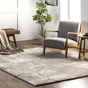 2' X 3' Cozy Plush Area Rug, Machine Washable, Non-Slip, Soft Fluffy Shag Carpet for Living Room Bedroom Kids Room Nursery Home Decor, Loni Beige