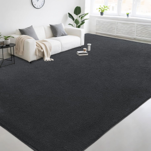 Large Modern Area Rugs for Living Room Bedroom, 5X8 Feet Dark Grey Ultra Soft Thickened Memory-Foam Indoor Rug, Comfy Aesthetic Solid Minimalist Carpets for Girls Boys Nursery Dorm Home Decor