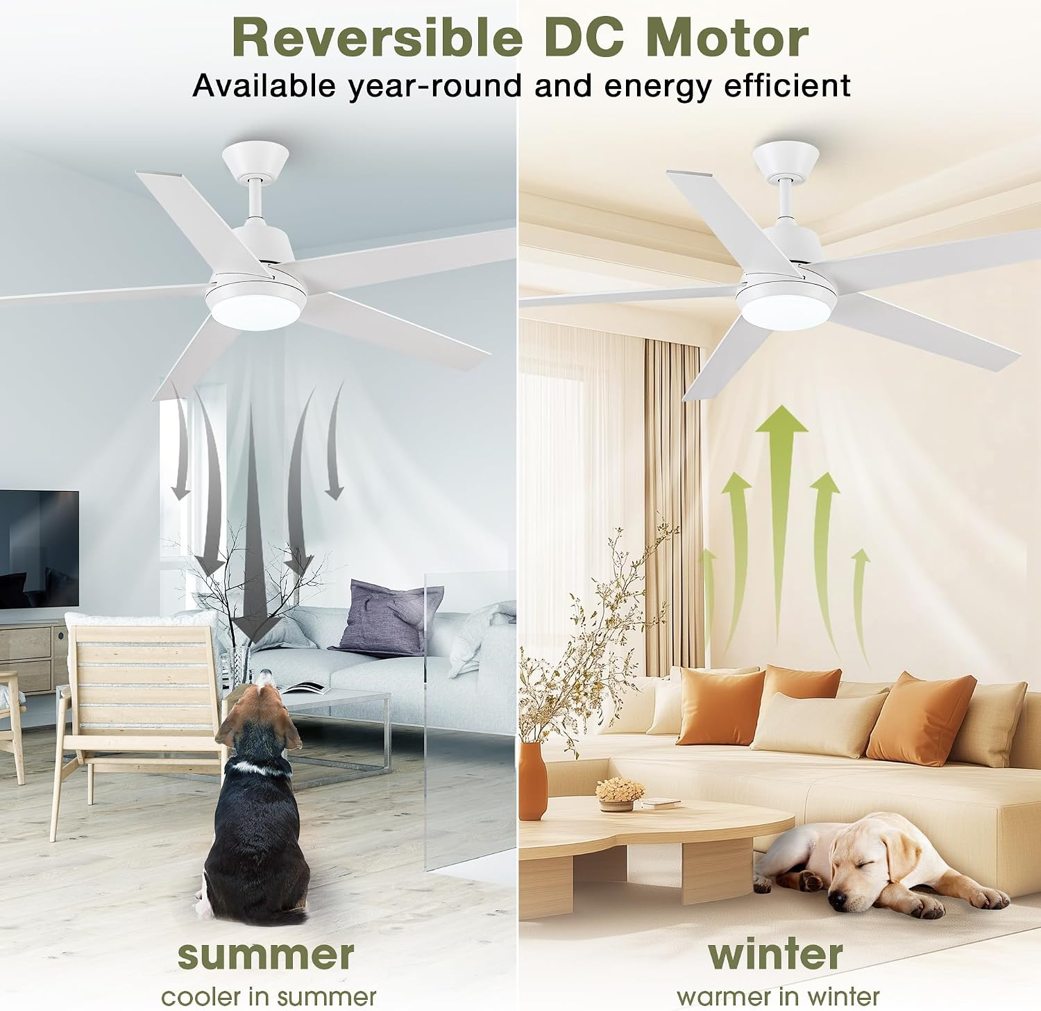 Ceiling Fans with Lights and Remote - 52 Inch Modern Cooling Fan with Noiseless Reversible DC Motor Timer White Ceiling Fan for Bedroom Living Room Dining Room - Image 4
