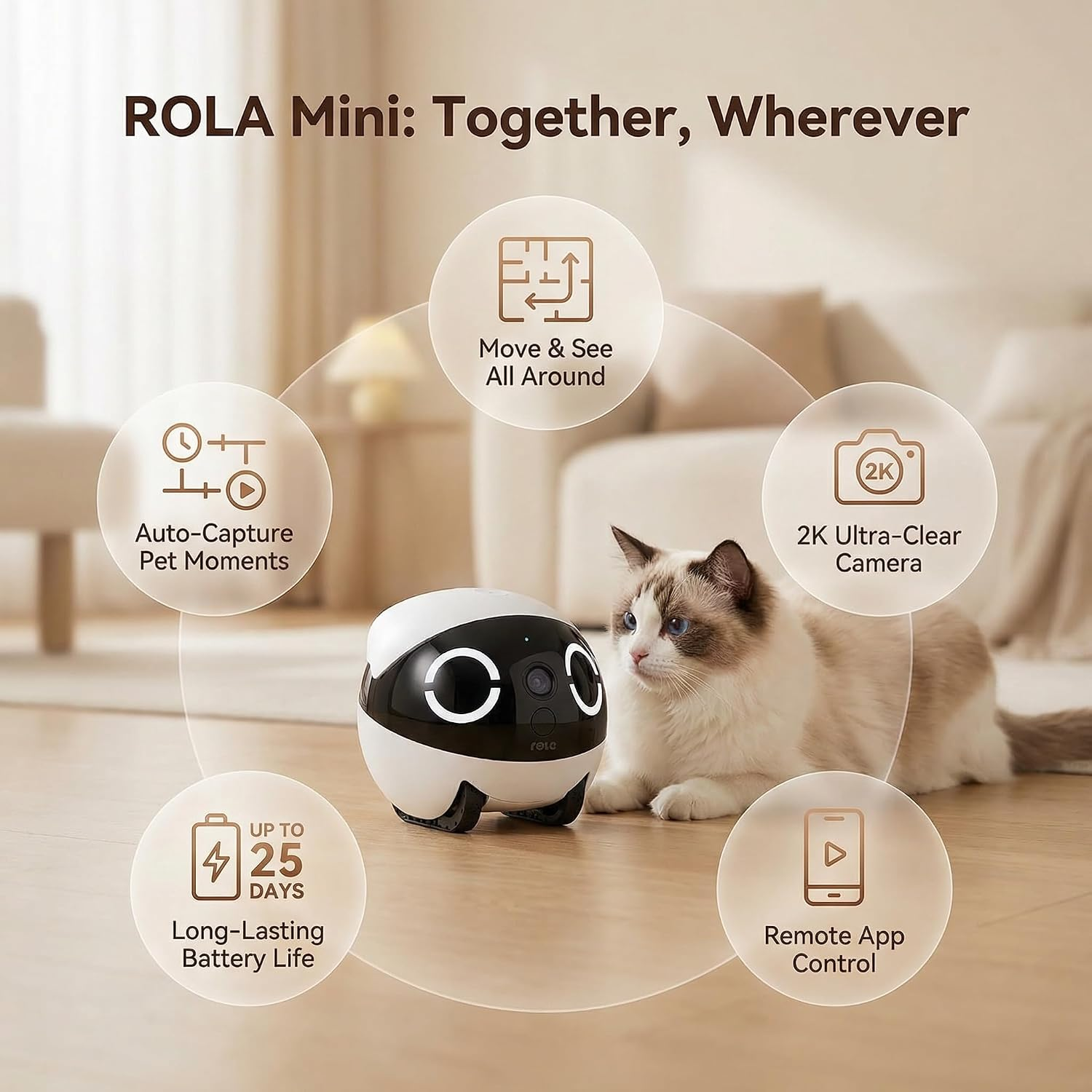 Mini Pet Camera Robot - Enabot EBO ROLA 2K HD Indoor Movable Camera with 5000Mah Battery, Two-Way Talk, Night Vision, Motion Detection, One-Touch Call for Pet Monitoring & Family Companion - Image 8